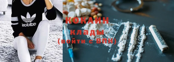 спайс Аша