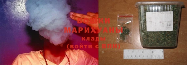 дмт Новозыбков