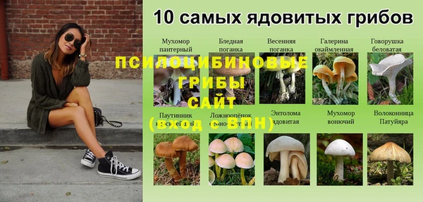 дмт Новозыбков
