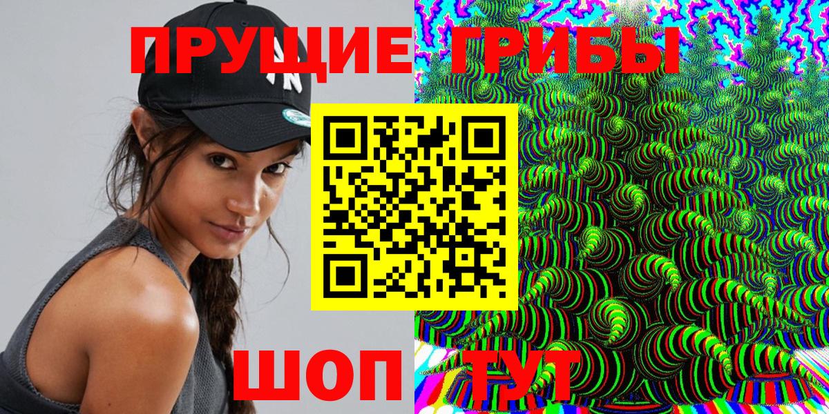 Псилоцибиновые грибы Cubensis Асбест