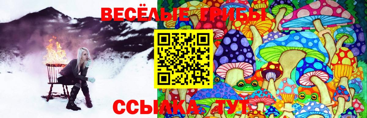 Асбест  Псилоцибиновые грибы Psilocybine cubensis  Вход с VPN  Псилоцибиновые грибы Cubensis 